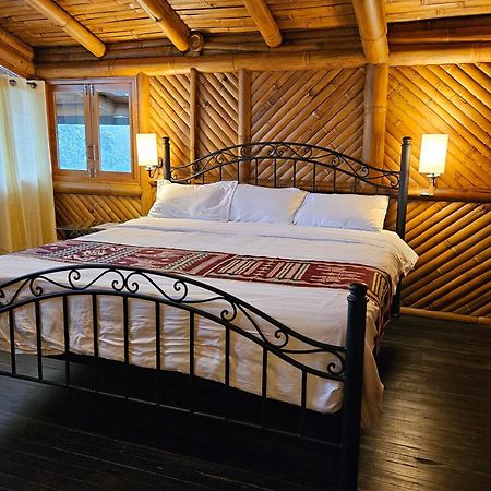 Golden Tree Mindo Eco-Lodge Eksteriør bilde