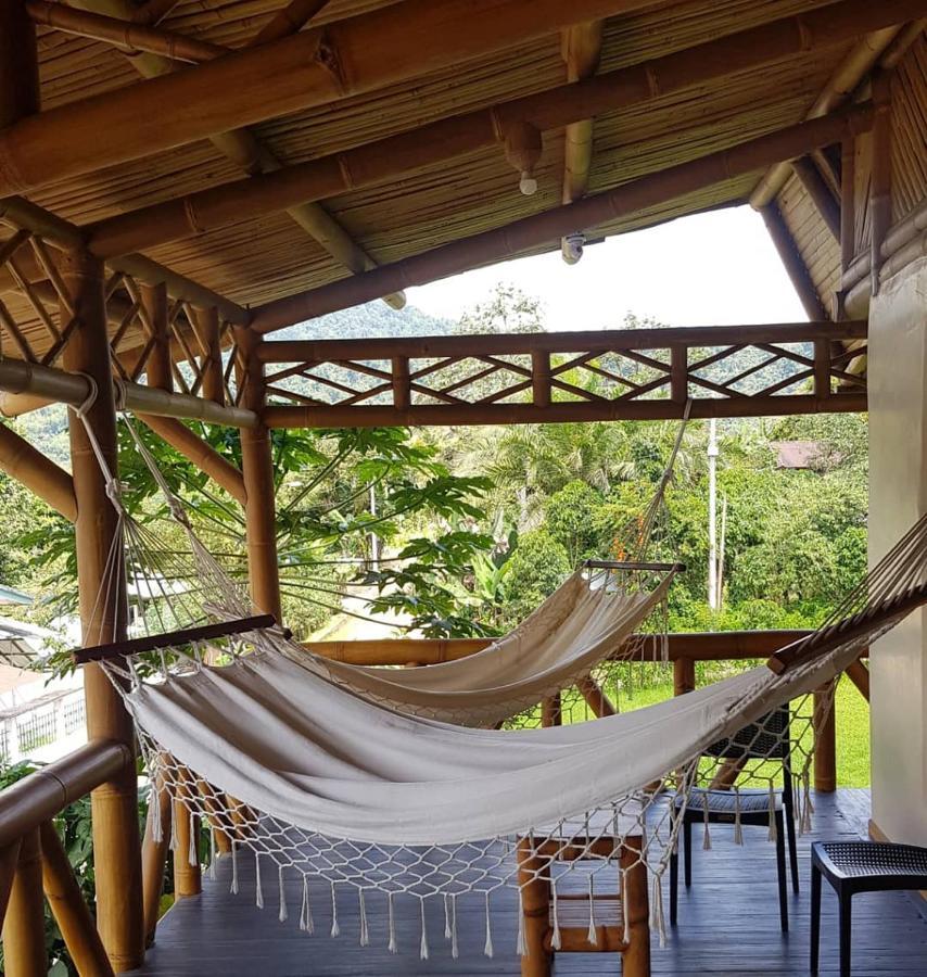 Golden Tree Mindo Eco-Lodge Eksteriør bilde