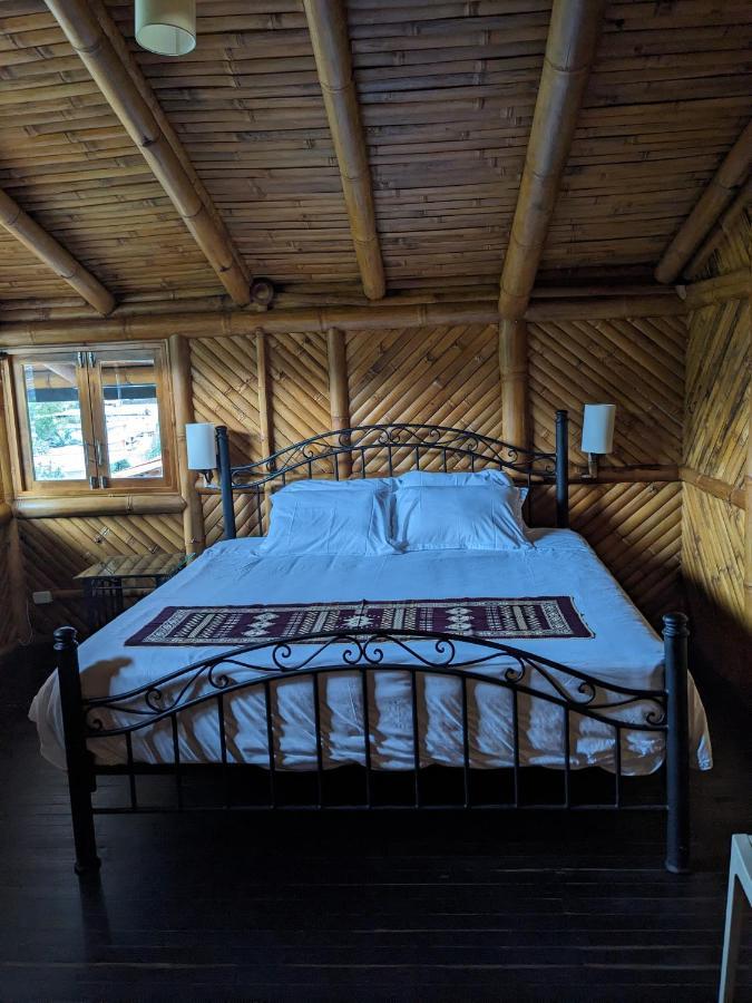 Golden Tree Mindo Eco-Lodge Eksteriør bilde