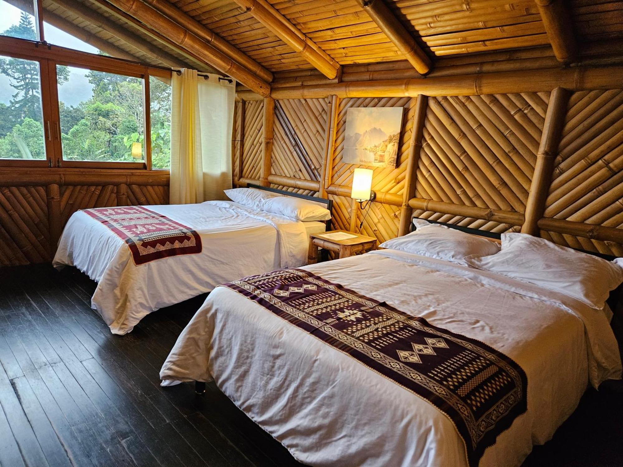 Golden Tree Mindo Eco-Lodge Eksteriør bilde