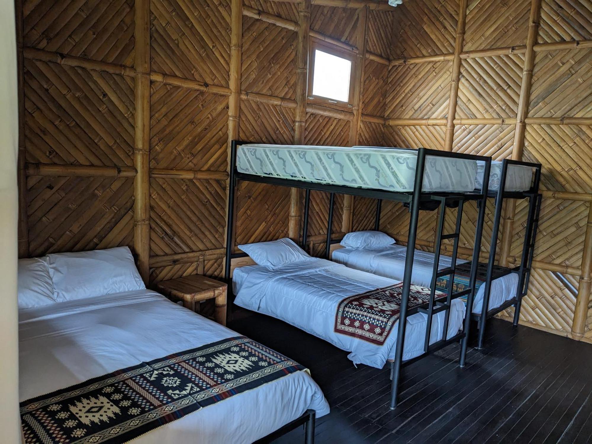 Golden Tree Mindo Eco-Lodge Eksteriør bilde